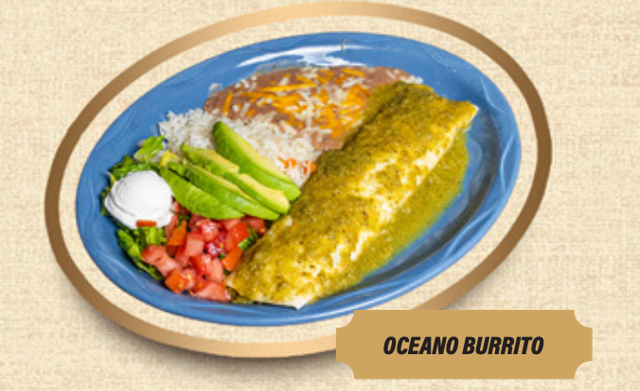 Oceano Burrito.